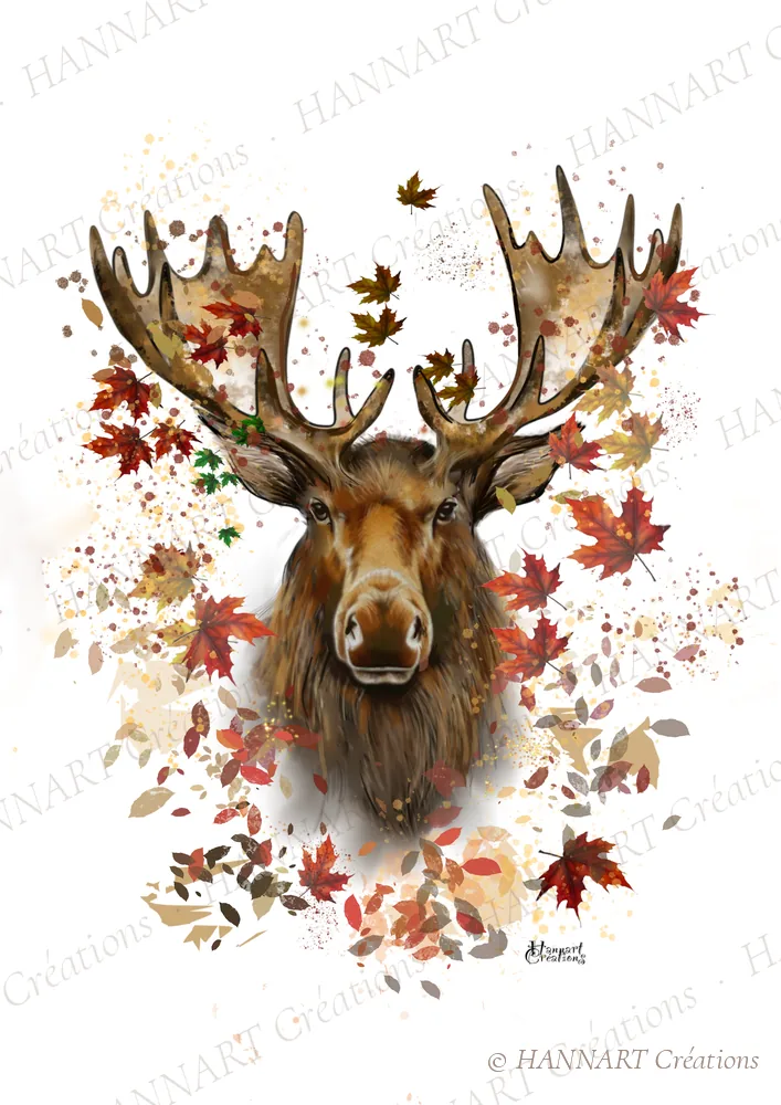 Caribou – illustration HANNART Créations