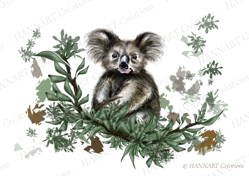 Koali le petit Koala – illustration HANNART Créations