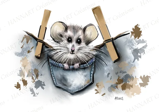 Lulu la petite souris – illustration HANNART