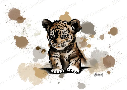 Tino le petit tigre – illustration HANNART